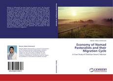 Buchcover von Economy of Nomad Pastoralists and their Migration Cycle
