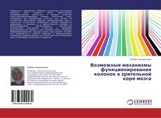 Copertina di Возможные  механизмы функционирования колонок в зрительной коре мозга