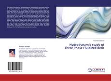 Capa do livro de Hydrodynamic study of Three Phase Fluidized Beds 