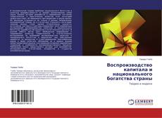 Buchcover von Воспроизводство капитала и национального богатства страны