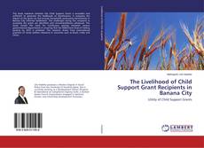The Livelihood of Child Support Grant Recipients in Banana City的封面