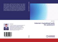 Copertina di Internet: A perplexed path for pubescent