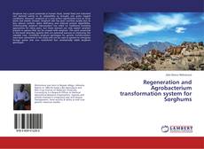 Bookcover of Regeneration and Agrobacterium transformation system for Sorghums