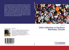 Capa do livro de Lithic Collection in Southern Manitoba, Canada 
