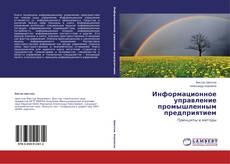 Buchcover von Информационное управление промышленным предприятием