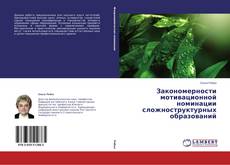 Buchcover von Закономерности мотивационной номинации сложноструктурных образований