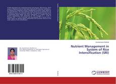 Buchcover von Nutrient Management in System of Rice Intensification (SRI)