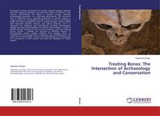 Couverture de Treating Bones: The Intersection of Archaeology and Conservation