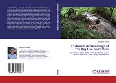 Buchcover von Historical Archaeology of the Big Five Gold Mine