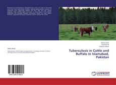 Capa do livro de Tuberculosis in Cattle and Buffalo in Islamabad, Pakistan 