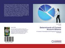 Buchcover von Determinants of Current Account Balance