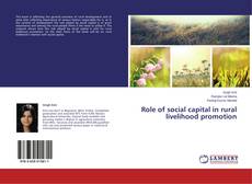 Buchcover von Role of social capital in rural livelihood promotion
