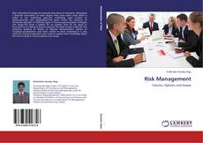Copertina di Risk Management