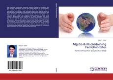 Buchcover von Mg,Co & Ni containing Ferrichromites