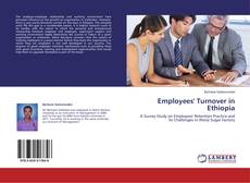 Couverture de Employees' Turnover in Ethiopia