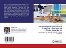 Copertina di Morphological& Molecular screening of wheat for drought resistance