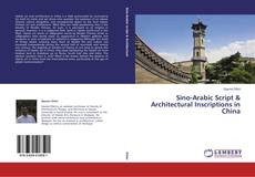 Couverture de Sino-Arabic Script & Architectural Inscriptions in China