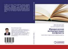 Buchcover von Юридическая интерпретация конфликта