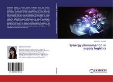 Copertina di Synergy phenomenon in supply logistics