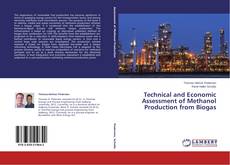 Copertina di Technical and Economic Assessment of Methanol Production from Biogas