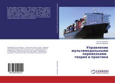 Управление мультимодальными перевозками: теория и практика的封面