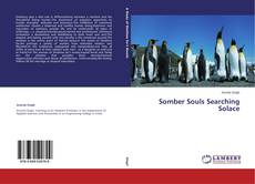 Buchcover von Somber Souls Searching Solace