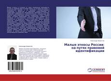 Buchcover von Малые этносы России: на путях правовой идентификации