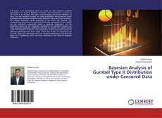 Capa do livro de Bayesian Analysis of Gumbel Type II Distribution under Censored Data 