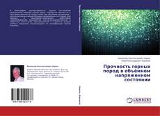 Прочность горных пород в объёмном напряженном состоянии kitap kapağı