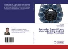 Copertina di Removal of Copper(II) from Wastewater Using Modified Carbon Nanotubes