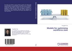 Обложка Models for optimising workforce sizes