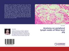 Buchcover von Anatomy on peripheral lymph nodes of Mizo local pig