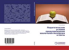 Педагогические условия предупреждения вовлечения молодежи в секты的封面