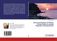 Copertina di Decontamination of Water Using Polymer-coated Magnetic Nanoparticles