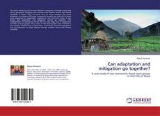 Buchcover von Can adaptation and mitigation go together?