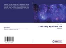 Couverture de Laboratory Hypersonic Jets