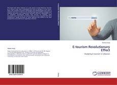 E-tourism Revolutionary Effect的封面