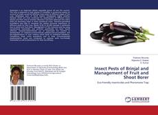 Copertina di Insect Pests of Brinjal and Management of Fruit and Shoot Borer