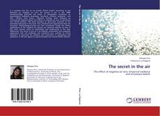 Обложка The secret in the air