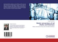 Capa do livro de Water conversion of oil shales and biomass 