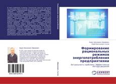 Формирование рациональных режимов энергопотребления предприятиями的封面