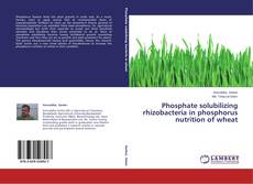 Buchcover von Phosphate solubilizing rhizobacteria in phosphorus nutrition of wheat