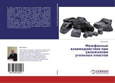 Buchcover von Межфазные взаимодействия при увлажнении   угольных пластов