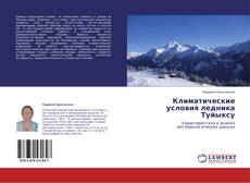 Buchcover von Климатические условия ледника Туйыксу