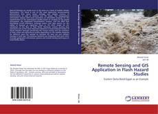 Buchcover von Remote Sensing and GIS Application in Flash Hazard Studies