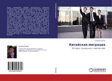 Buchcover von Китайская миграция