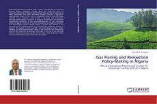 Buchcover von Gas Flaring and Reinjection Policy-Making in Nigeria