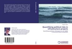 Buchcover von Quantifying political risks in infrastructure projects