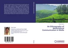Capa do livro de An Ethnography of Multicultural Communication in Wollo 