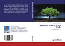 Couverture de Developing Infrastructures Model